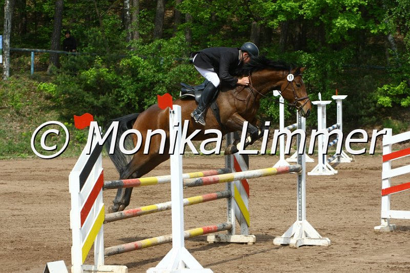 104M3608_Araquita T_Springpf L.JPG